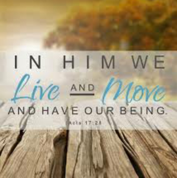 Meet your Posher - Picture 1 of 1